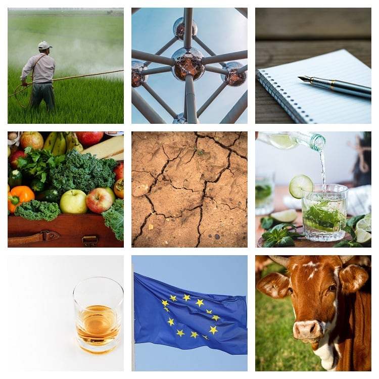 Brussels Bulletin: A round-up of news and views from the EU