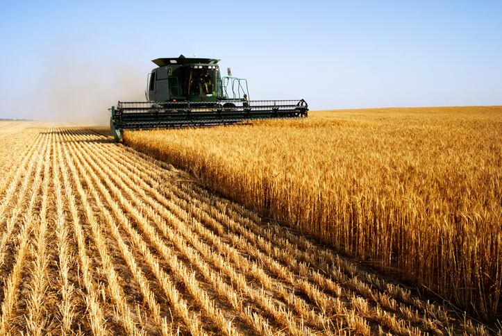 Farm waste, sweet taste: Comet Bio transforms harvest leftovers into sweeteners and fibre