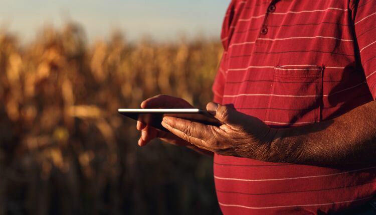 Bayer introduces sow health smartphone app