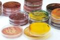 Food microbiology standard and guideline amendments and revision: ISO 11133 and ISO 16649