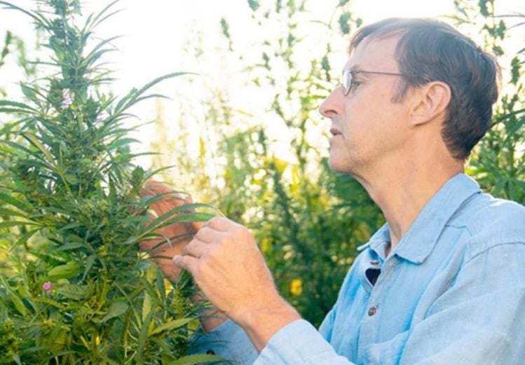 RE-Botanicals-founder-talks-hemp-derived-CBD-I-ve-never-seen-a-product-that-has-this-much-grass-roots-momentum.jpg