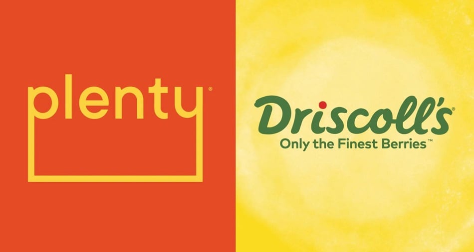 Driscoll's embraces indoor farming, striking joint development agreement with Plenty
