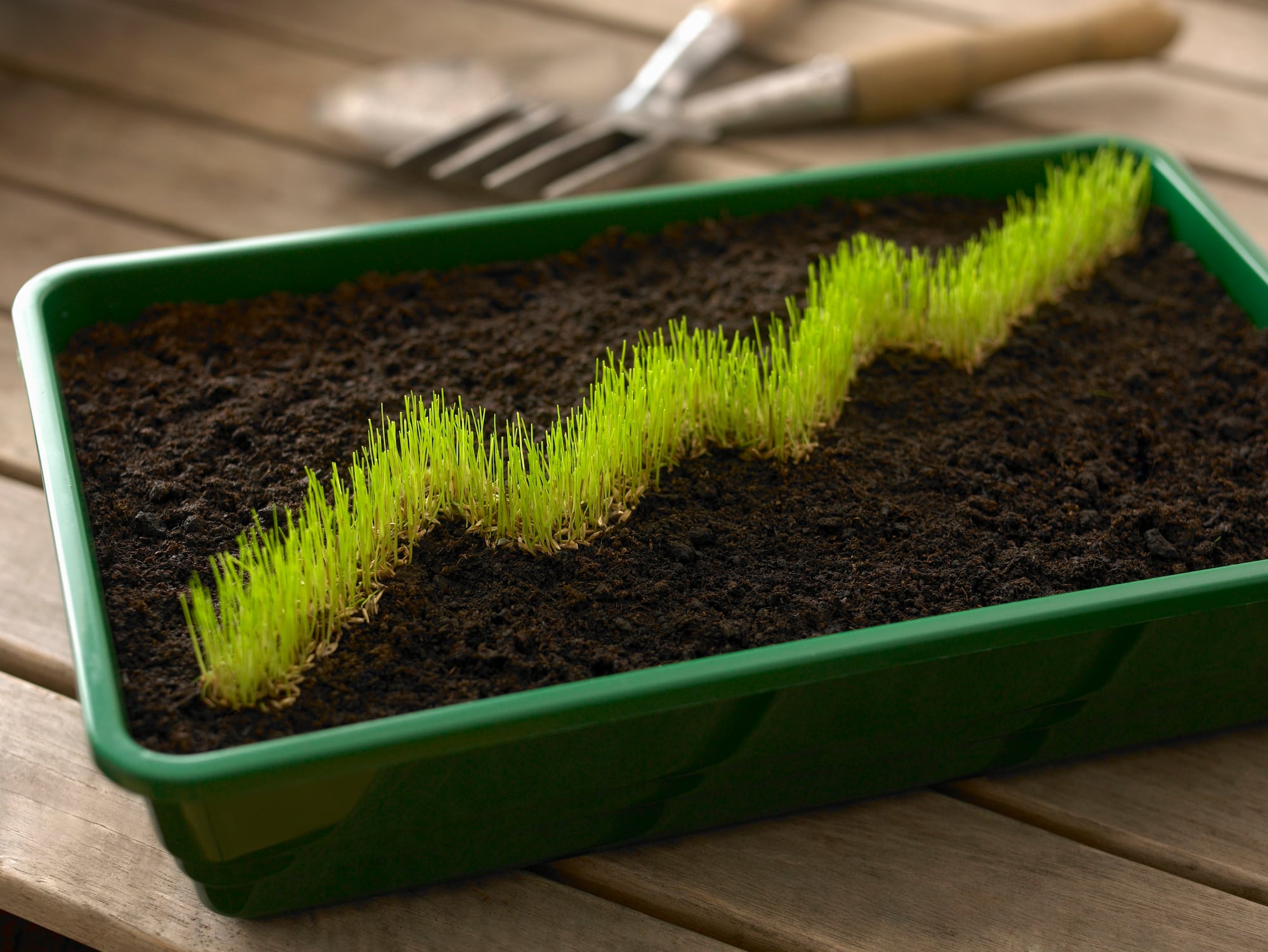 Corporates still care about sustainability
