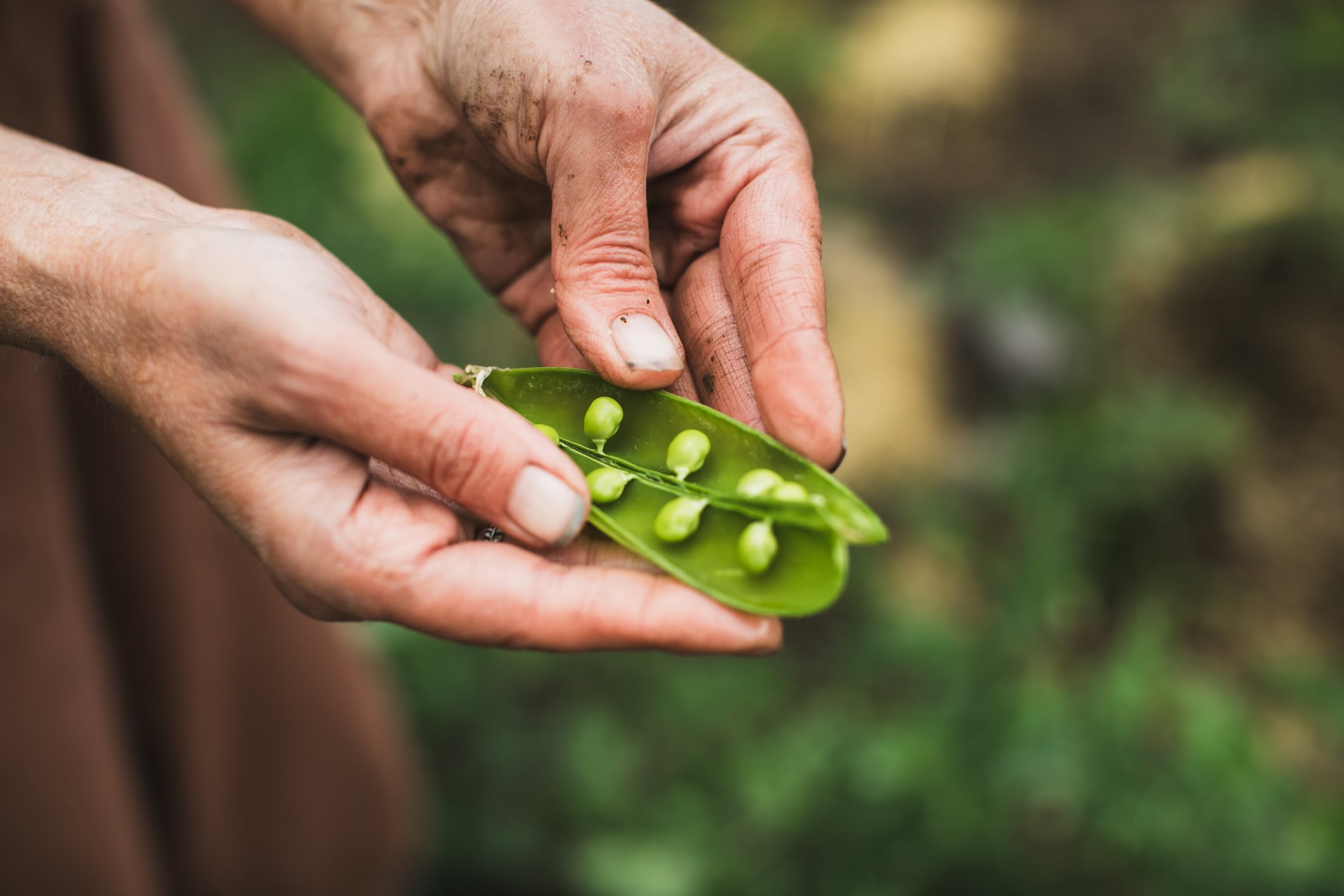 Industry investment in traceable and regeneratively grown ingredients is helping transform sustainability from a marketing claim into a supply-chain strategy.