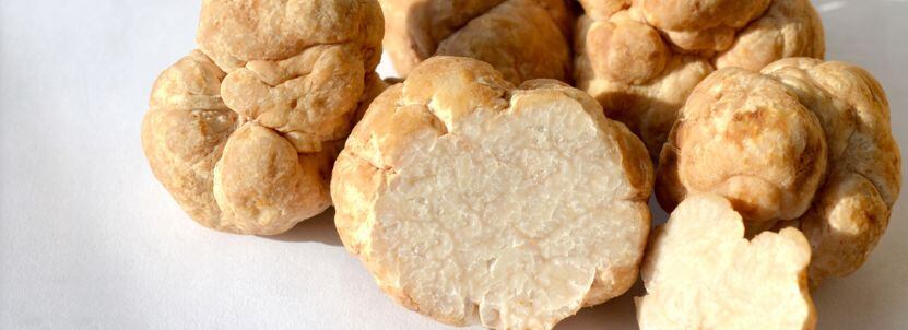 Honey Truffle