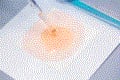 Media for indicator organism testing: do convenient alternatives stand up to traditional methods?