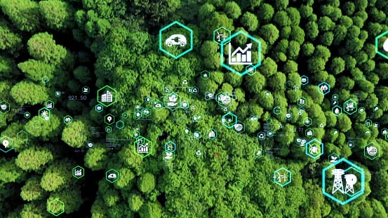 ‘Fund of Funds’: South Korea zeroes in on food system sustainability and digitalisation with US$70m scheme