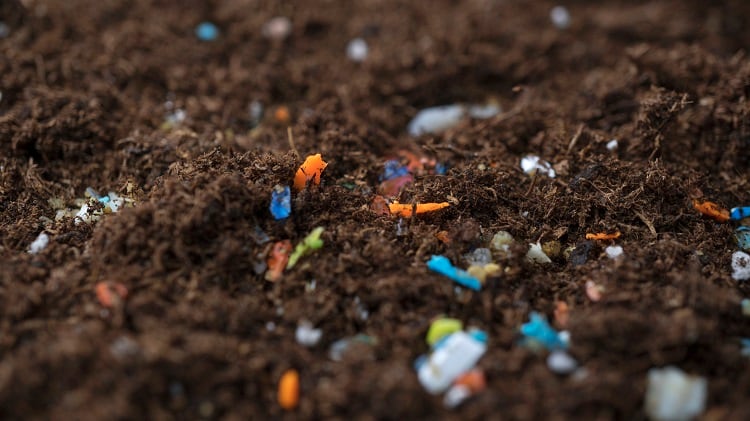 Superbugs and plastic pollution: Researchers link microplastics to antimicrobial resistance spread 