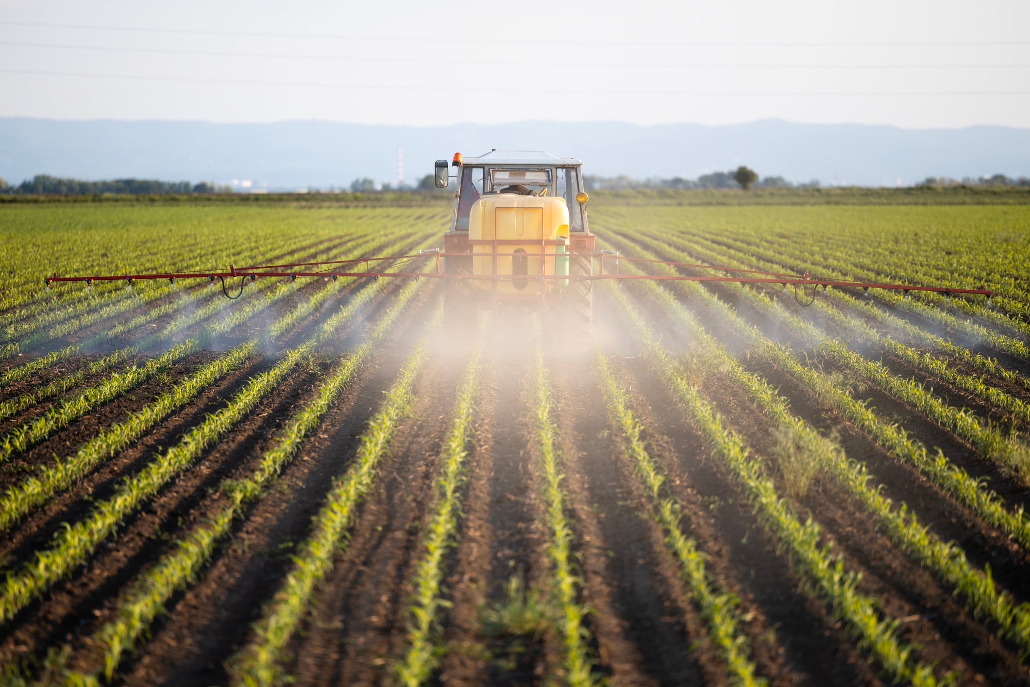 Tractor with large chemicals tank working in the field and spraying pesticides in sunset.