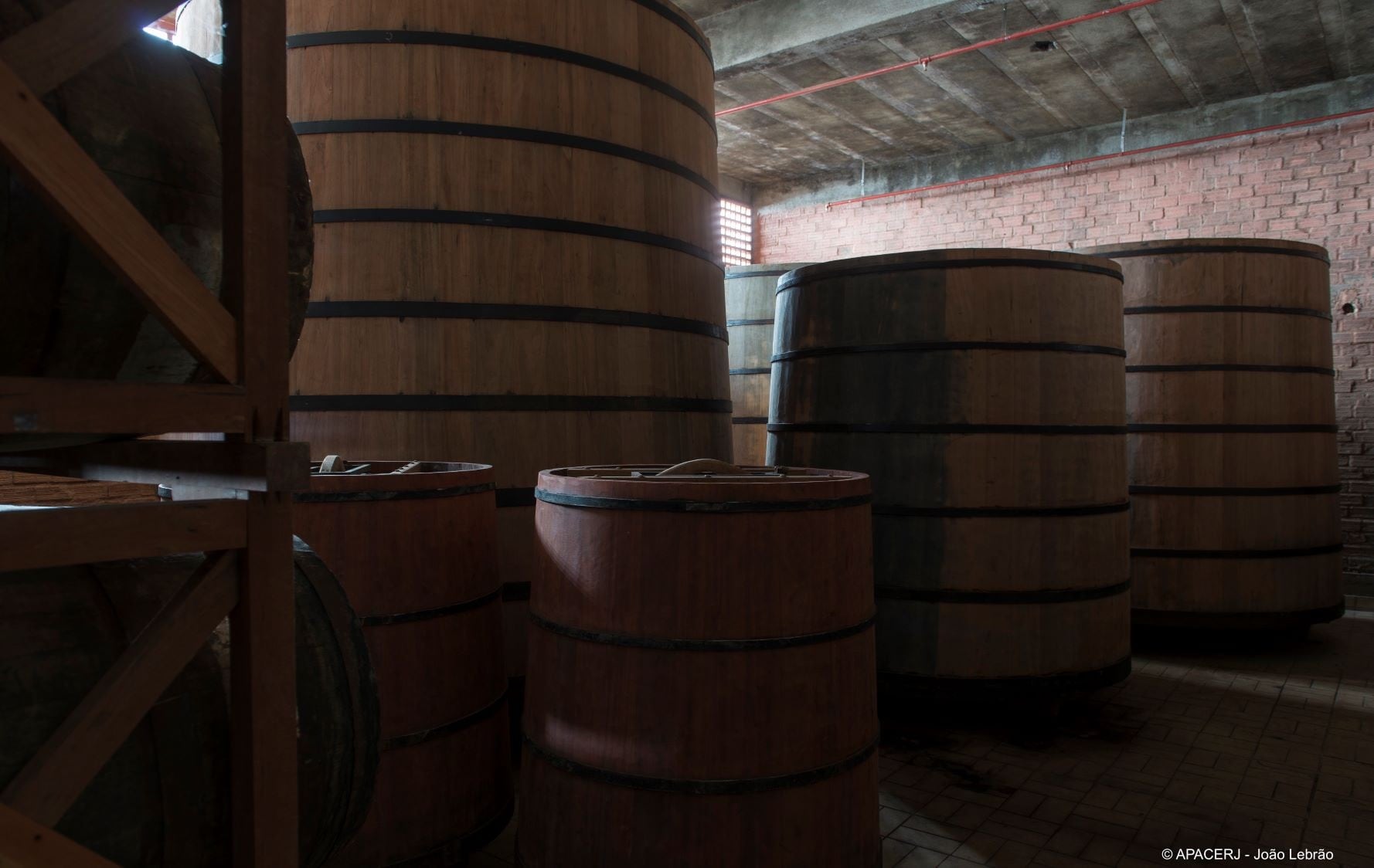 Cachaca_Image-2-Red.jpg