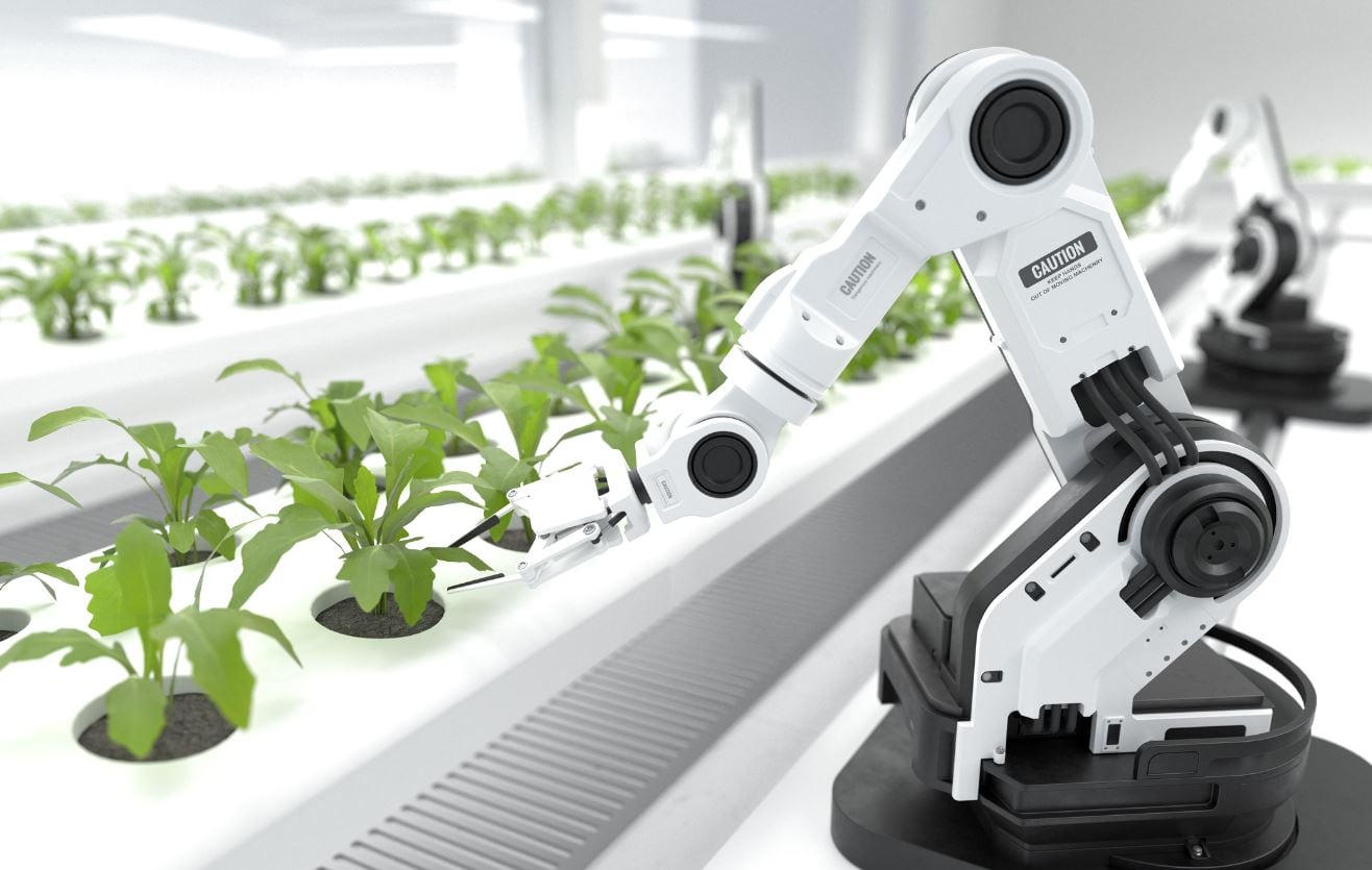 ‘Risk averse’ food industry slow to take up AI and digital
