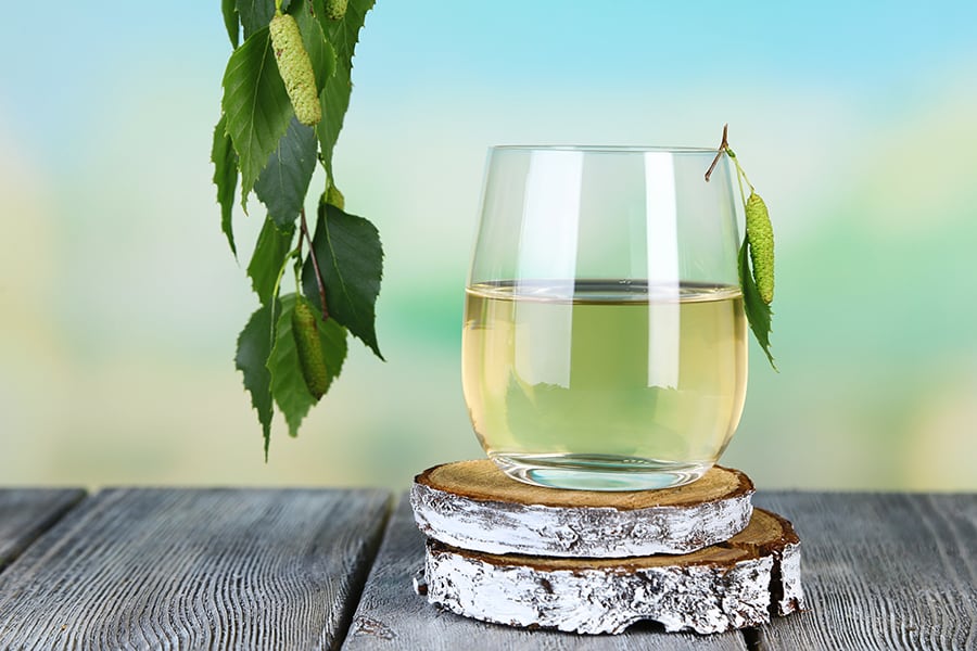 Birch-juice-water-Fotolia_68802153_Subscription_XXL.jpg