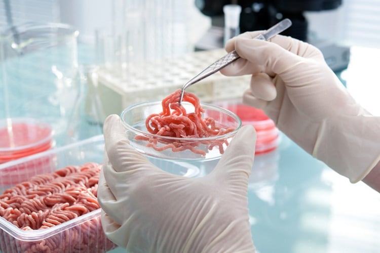 Deliberate non-declared meat ‘unacceptable’