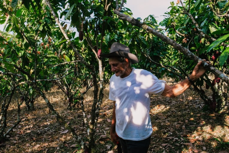 Mars Wrigley and SwissDeCode team up to tackle Cocoa Swollen Shoot Disease