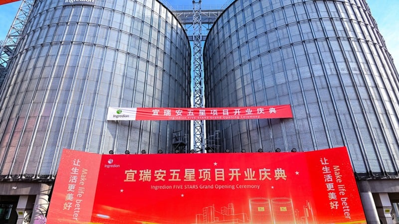 Appeal-to-appetite-Strong-packaged-food-demand-in-China-due-to-population-boom-increased-health-awareness-Ingredion-VP.jpg