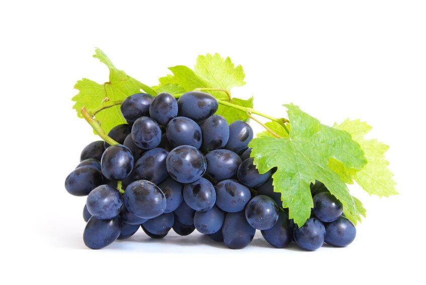 Grapes.jpg