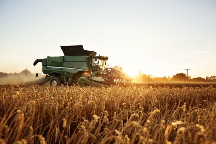 It is technically feasible to double the yield of EU agriculture by 2050, says researcher