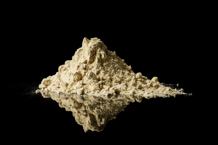 White-algae.png
