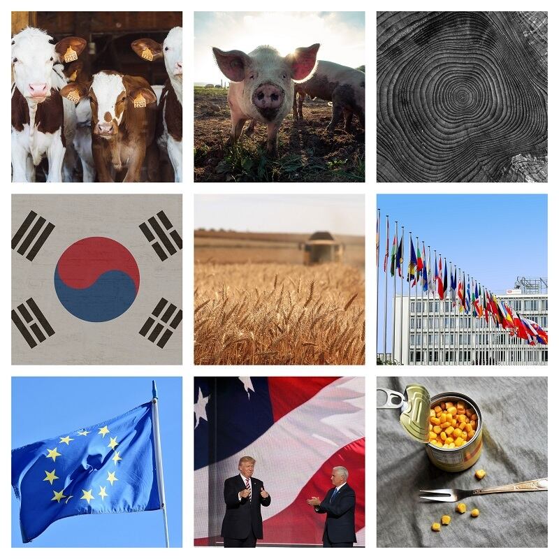Brussels Bulletin: Incoming European Commissioners talk food, farming and fishing