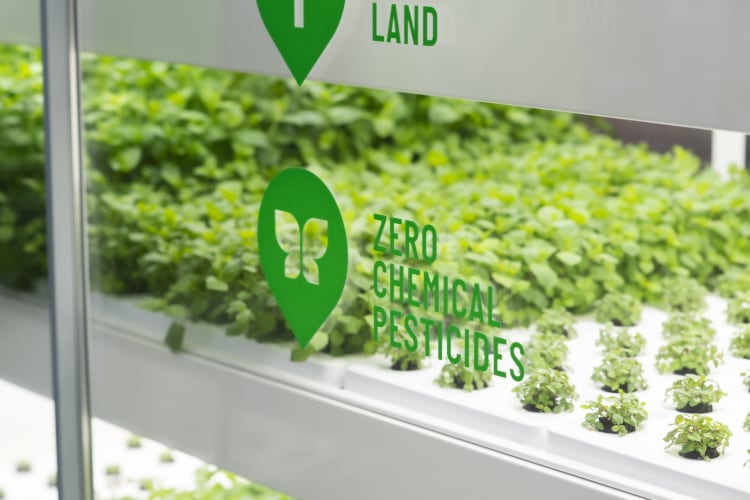 How Infarm’s new UK Growing Centre contributes to food security and sovereignty