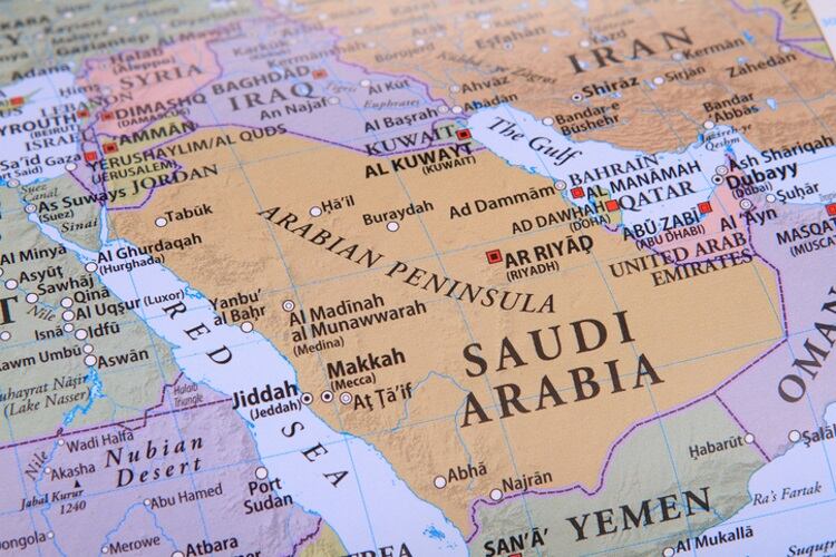 Saudi Arabia approves Brazilian beef plants