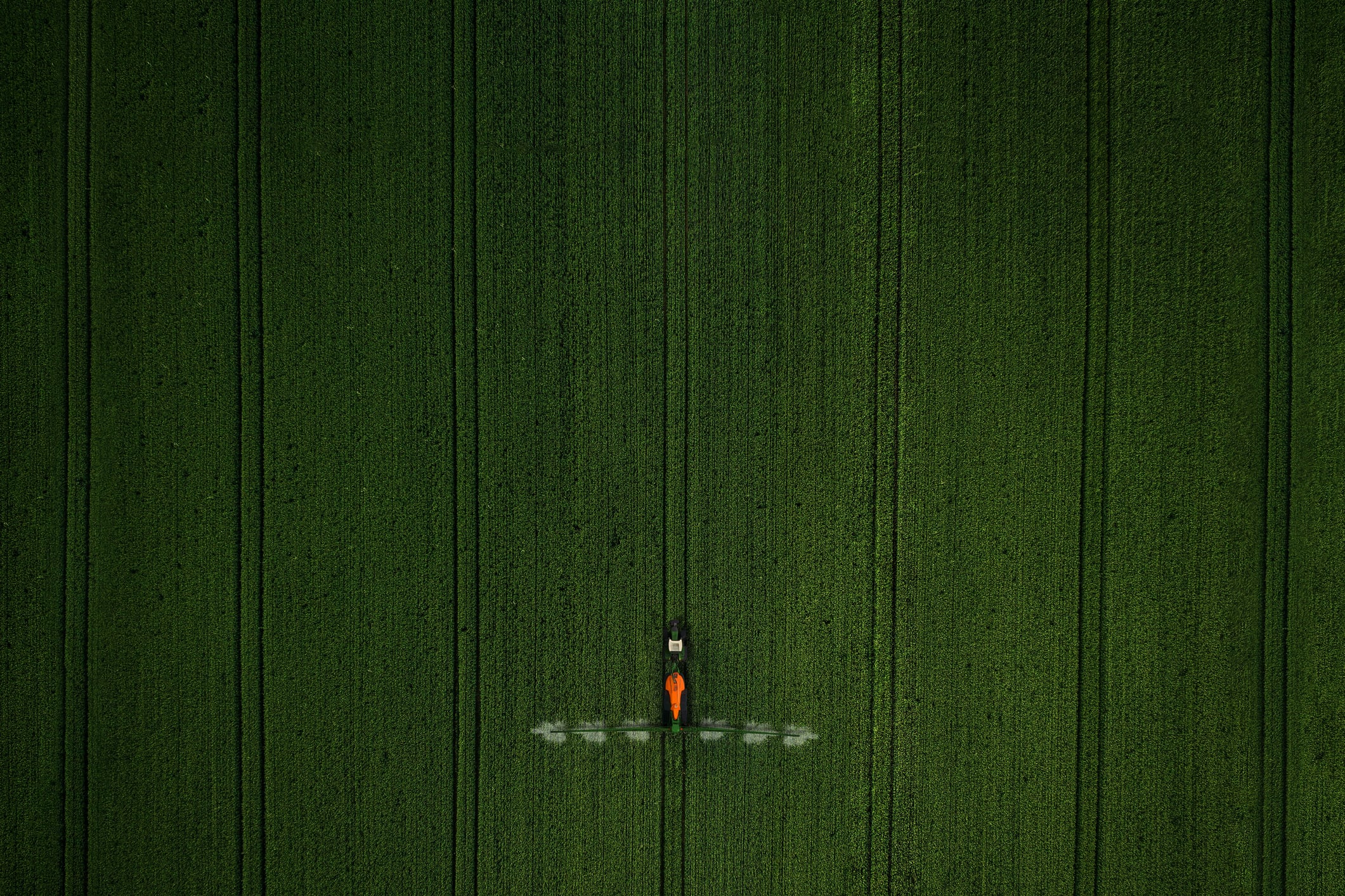 Drone shot of a sprayer applying fertilizer or pesticide on a green field, showcasing precision agriculture and crop management