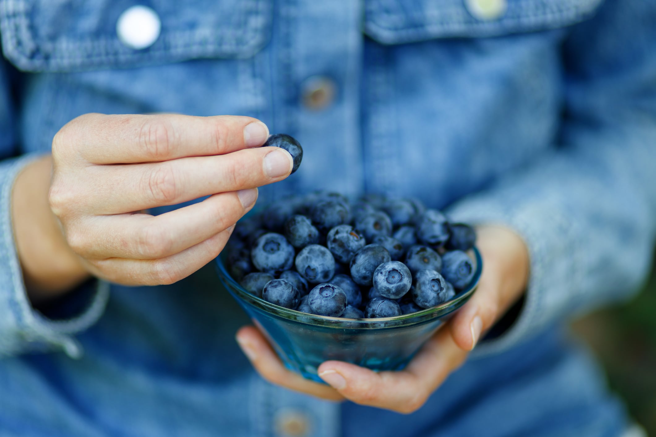 Toxic fungus puts $9.25bn blueberry market at risk of extinction