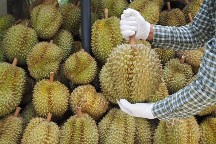 Durians-take-on-technology-as-Singapore-start-up-turns-King-of-Fruits-into-traceable-digital-assets.jpg