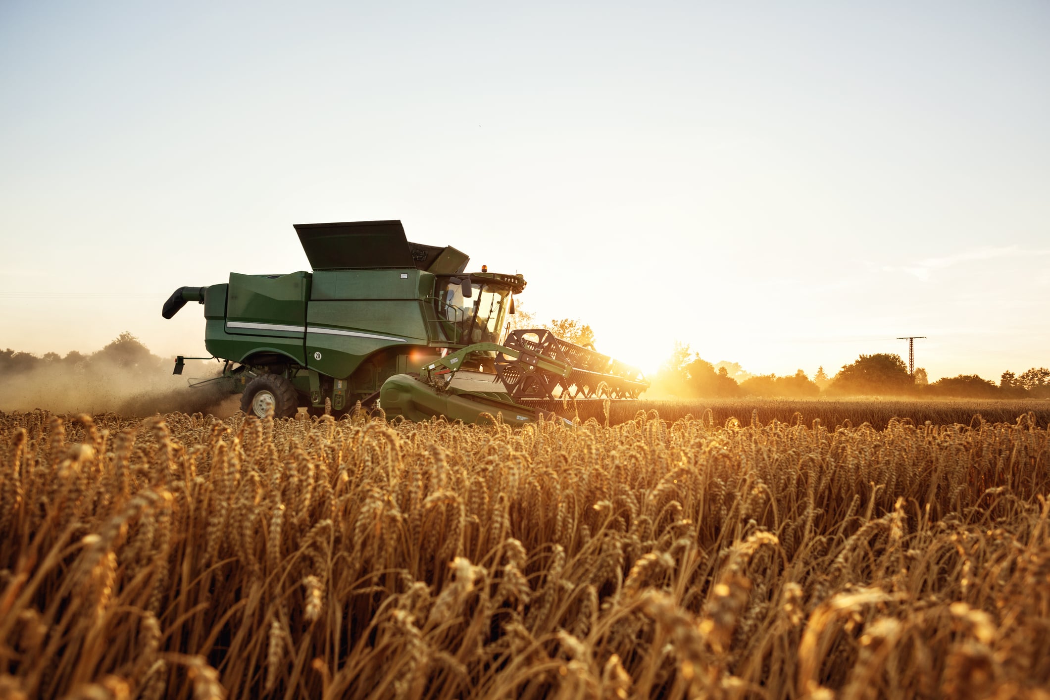 Wheat-harvest-C-Getty-Images-photoschmidt.jpg