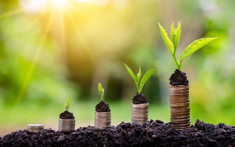 Plant-based CPG brands “return to fundamentals” amid new market dynamics