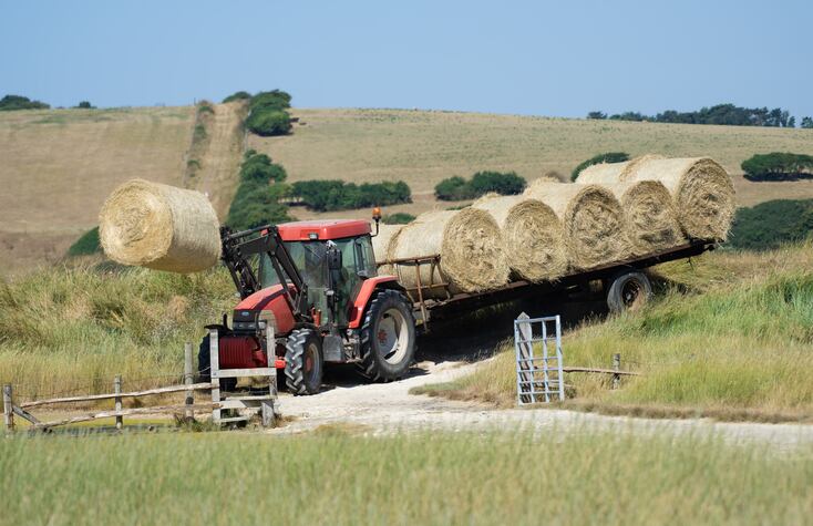 Alternative feeds may help beef, dairy producers facing forage shortfalls