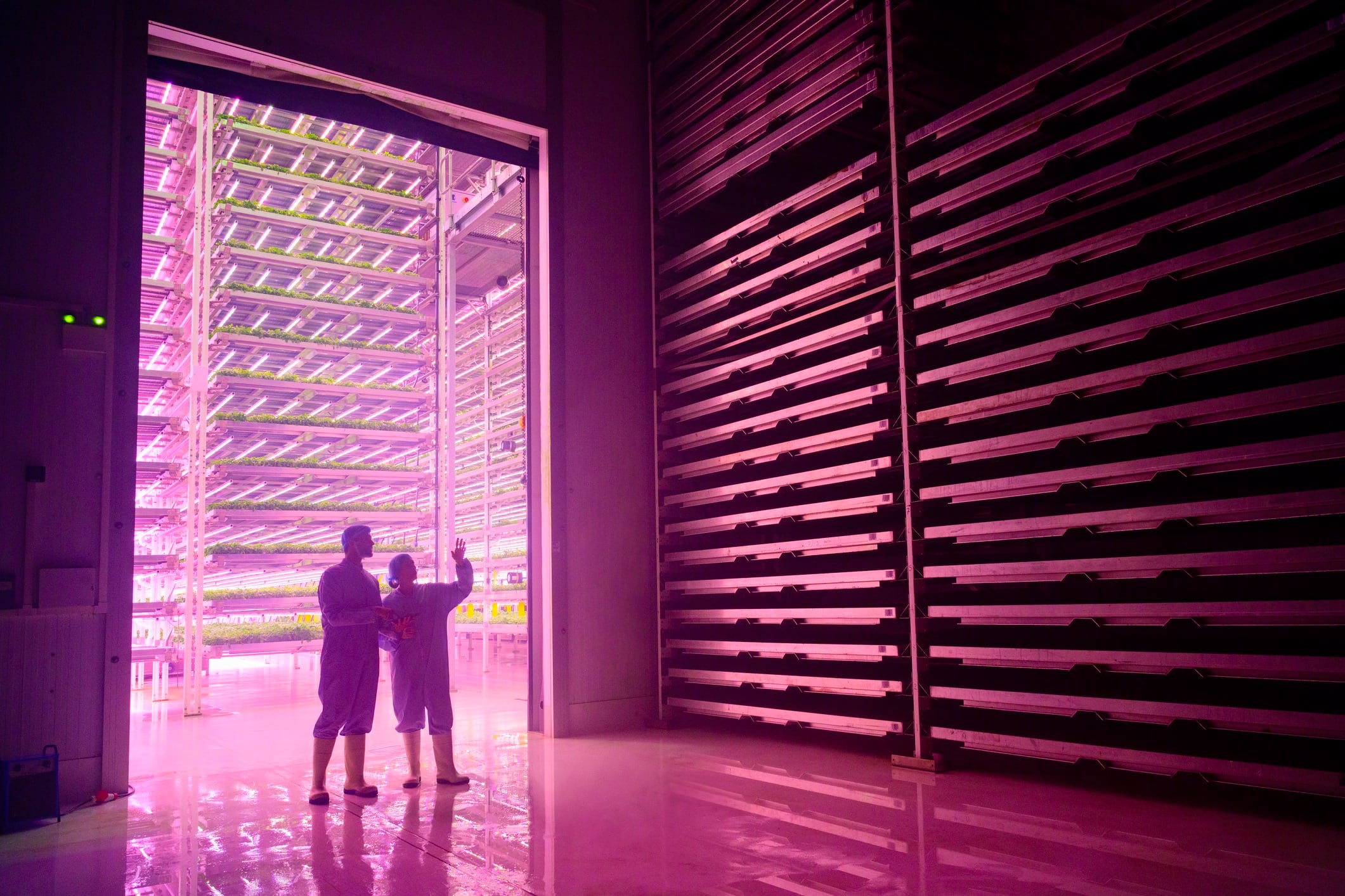 Full length view of male and female technicians in protective workwear discussing plans with vivid LED illumination and layers of herbs growing in background.
