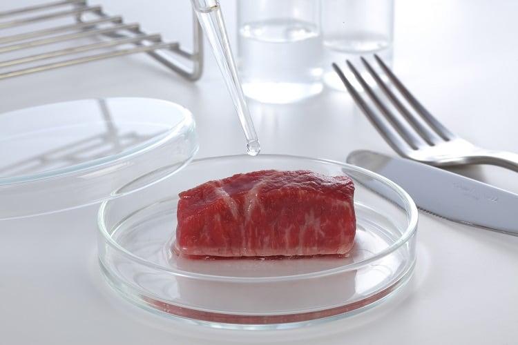 ‘World’s first’ growth media factory in the works for cultivated meat, milk