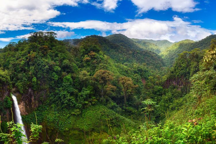 GettyImages-Miroslav-1-forest-deforestation.png