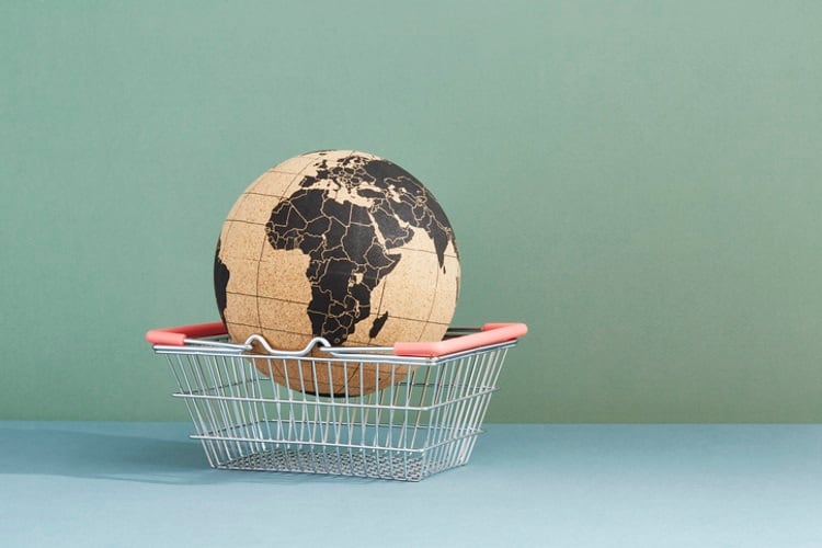 World in a shopping basket