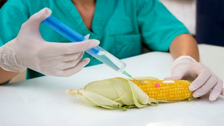 UAE to introduce federal law to govern biosafety of GM foods development and production process