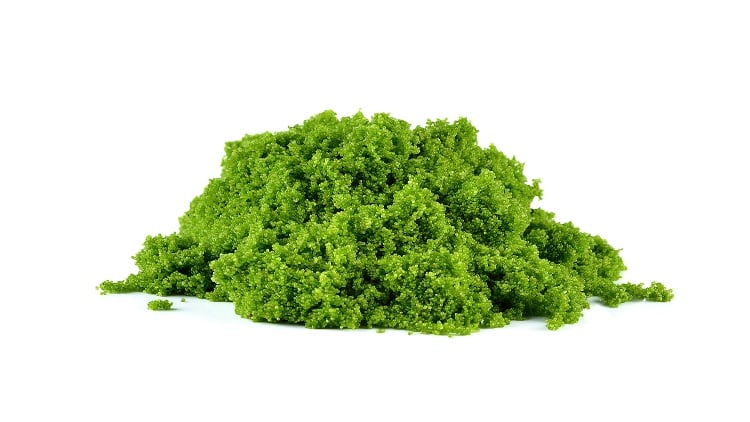Algae advances and robotic revelations: How the UAE is striving to enhance food security