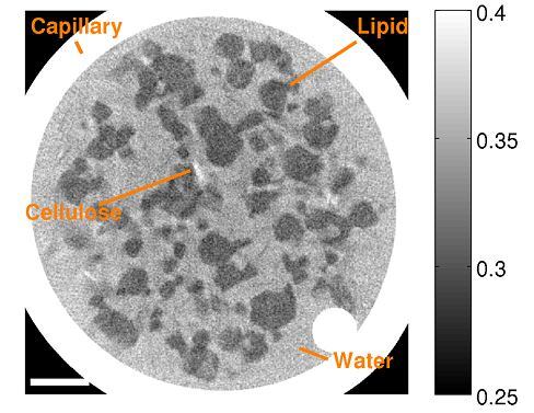 Nanoscale.jpg