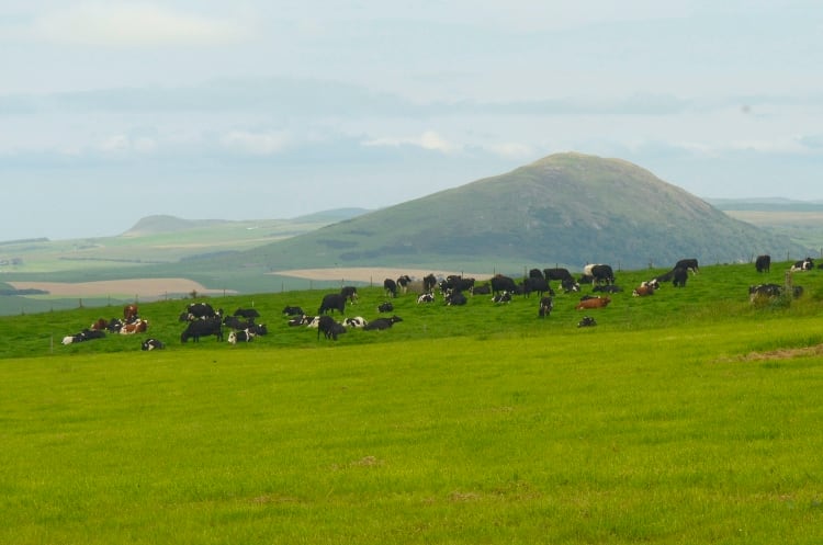 Boost for UK researchers to transform food systems
