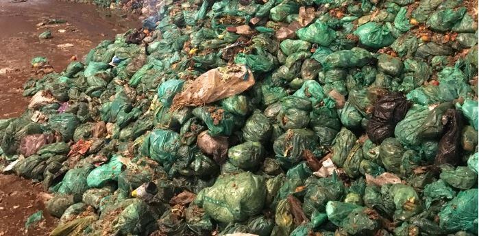 Danish team harness method to turn biowaste into protein supplements 