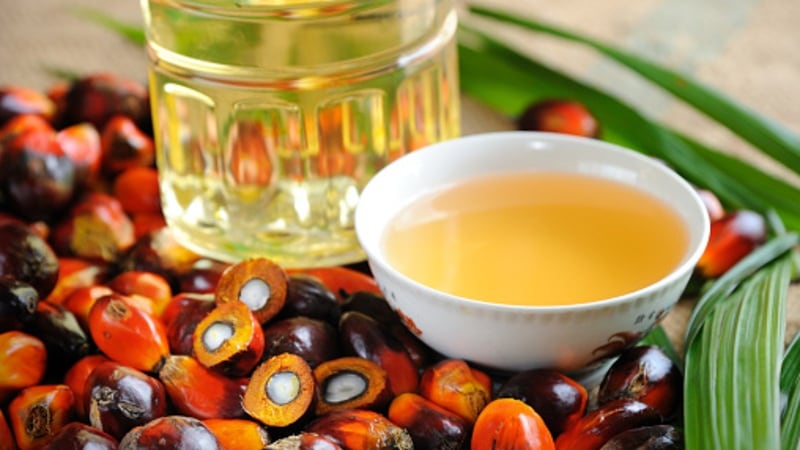Palm oil challenges in the West: EU ambassador insists sustainability is non-negotiable for consumers