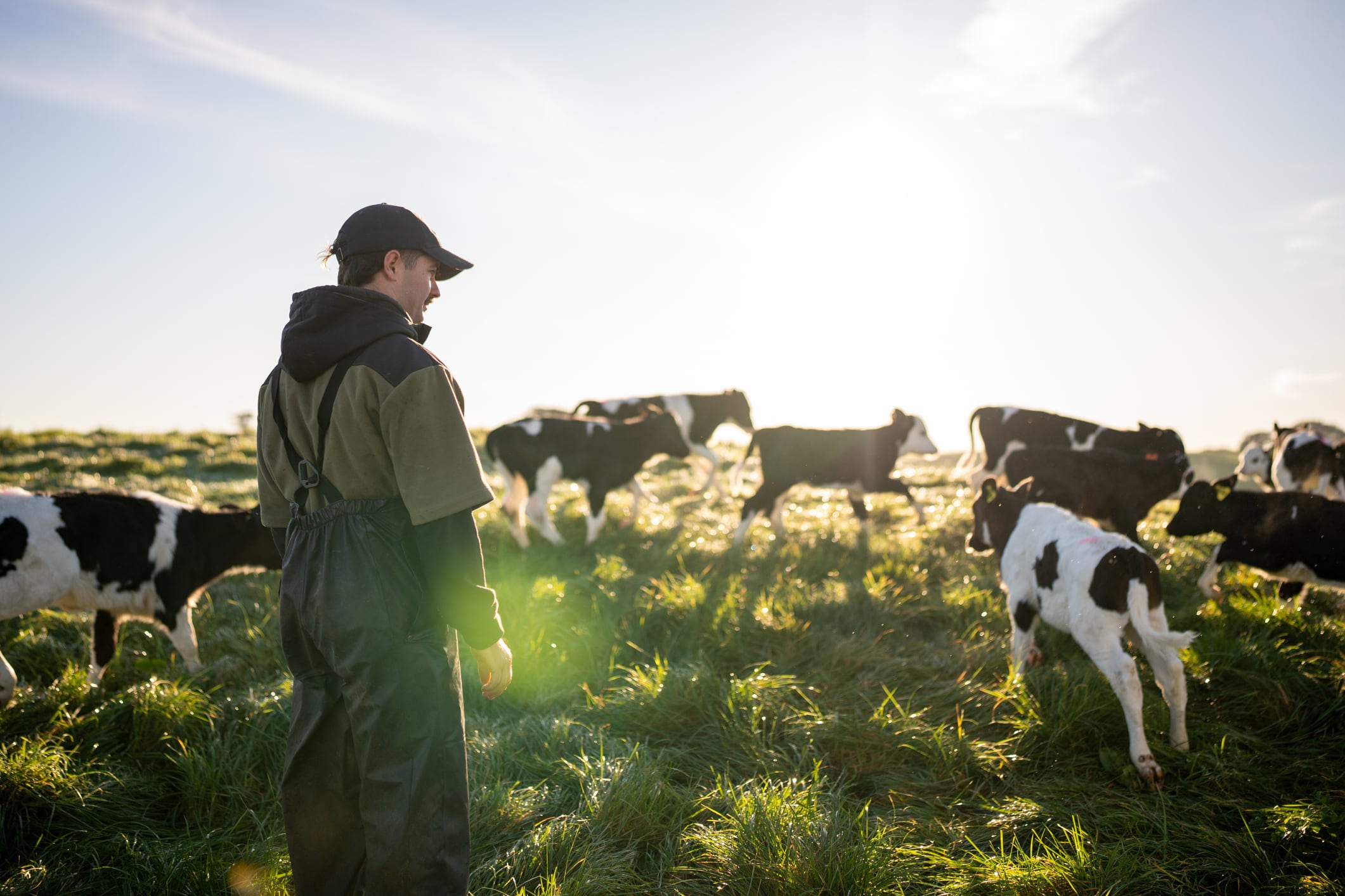 Higher pricing drives Ireland’s food and drink exports to record €17bn