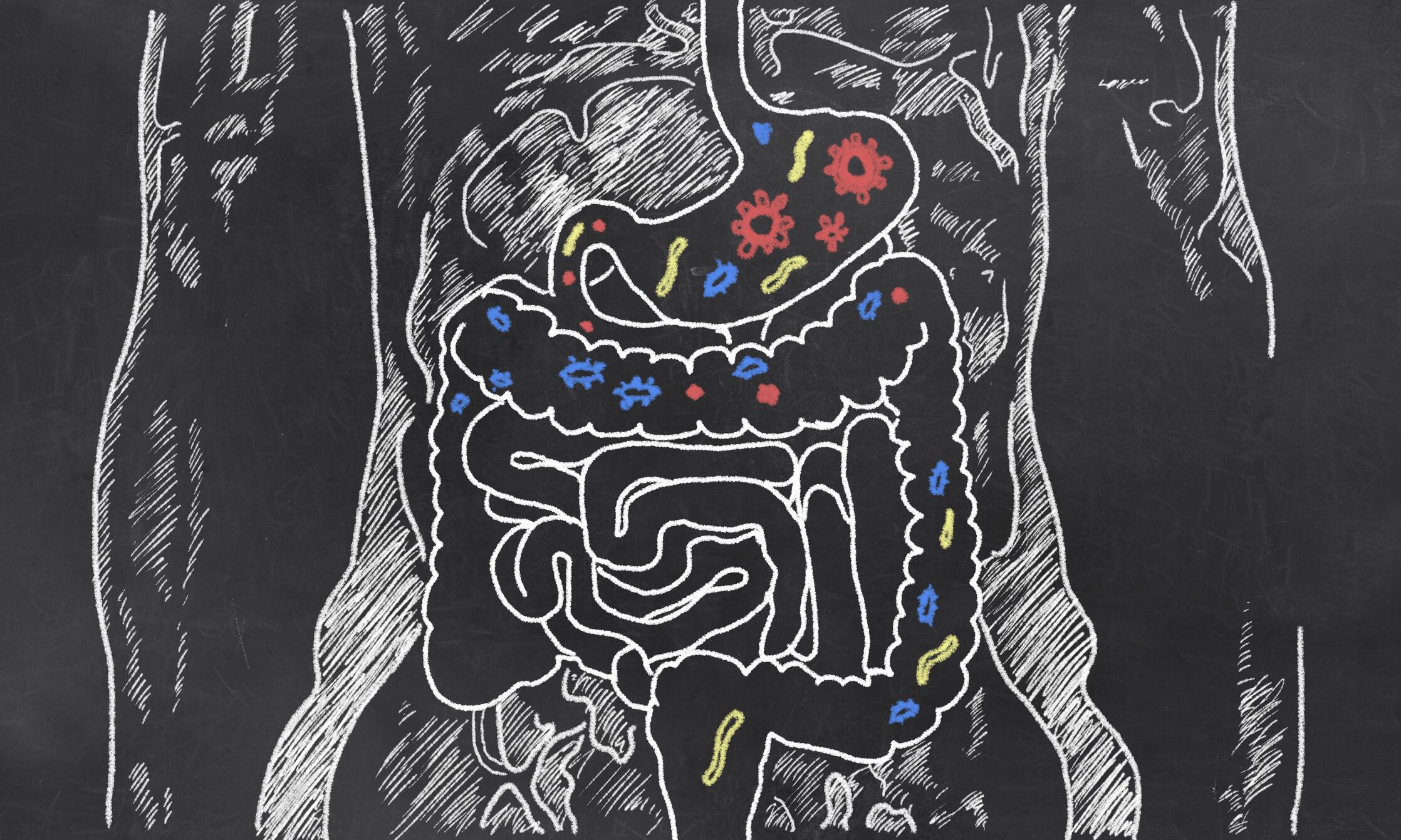 What constitutes a healthy human gut microbiome? ILSI NA investigates…