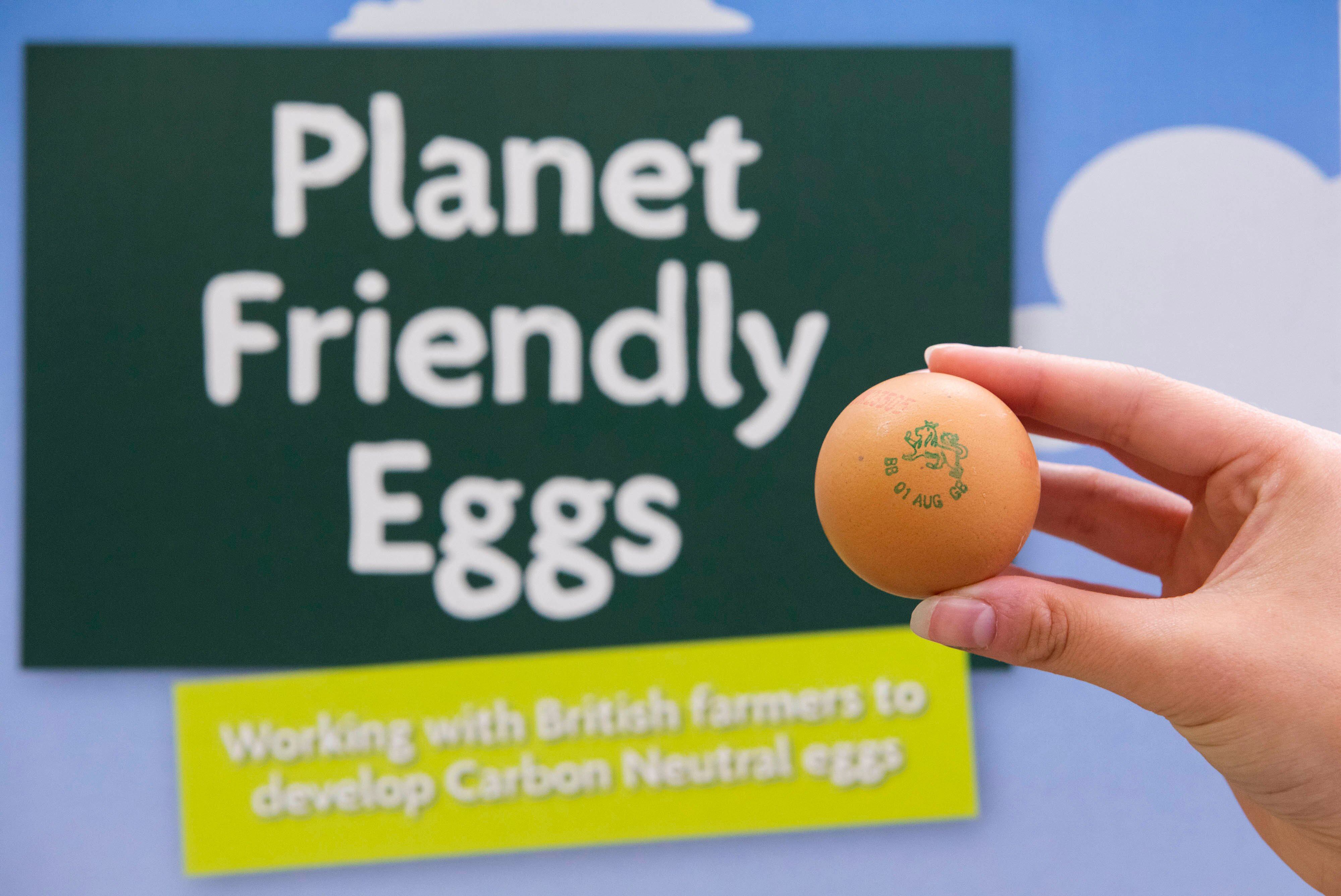 Morrisons-pioneers-circular-waste-technology-to-produce-UK-s-first-own-label-carbon-neutral-egg.jpg