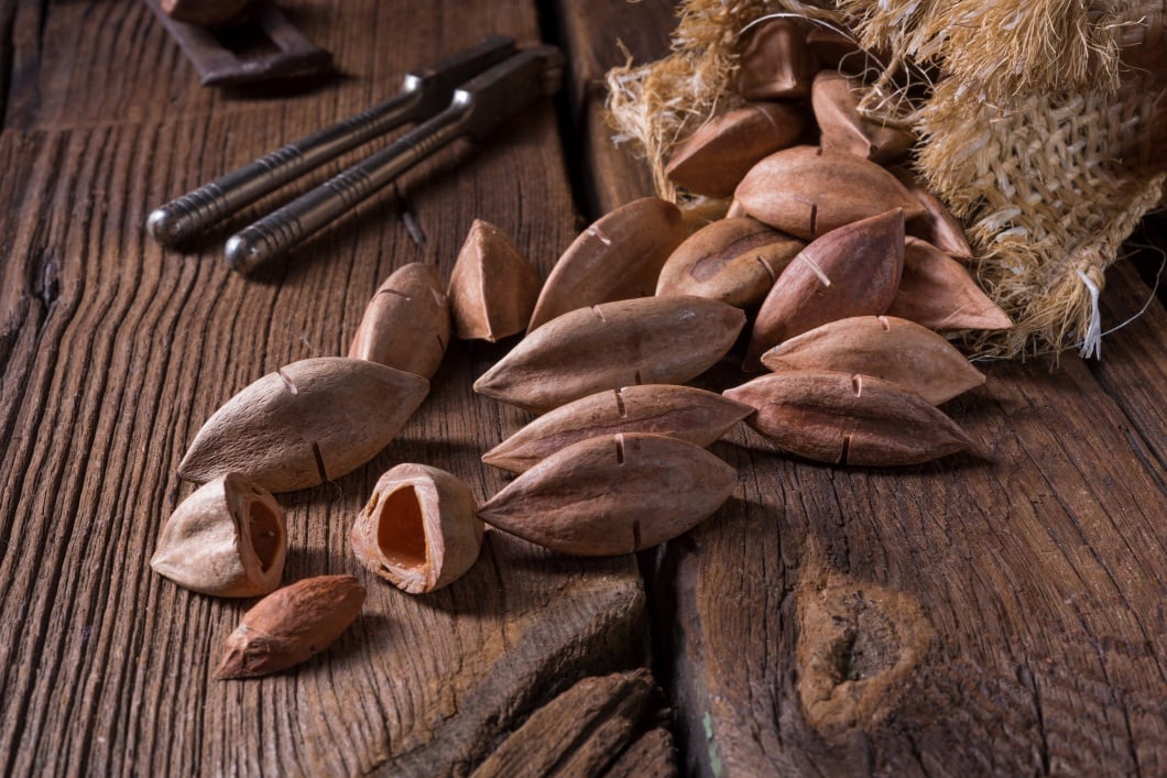 ‘They can rival any nut’: Pili nut pioneer Mount Mayon eyes global success