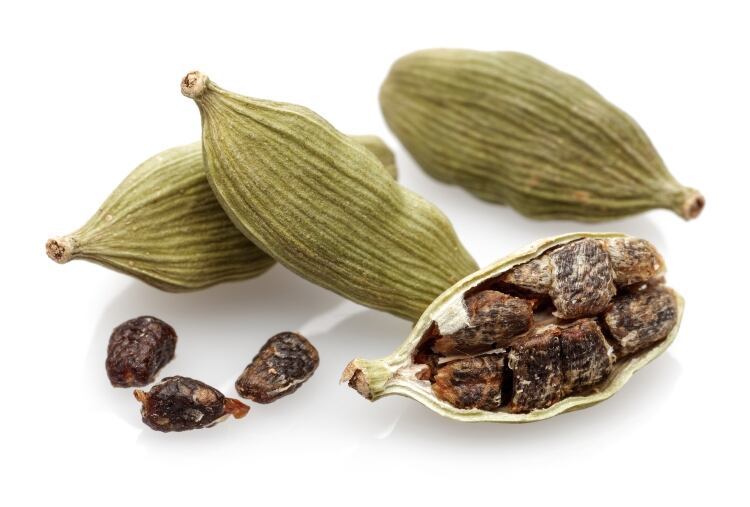 cardamom-MahirAtes.jpg