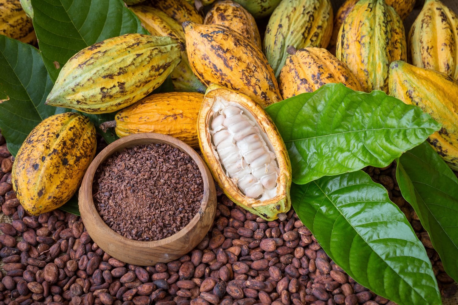 Chocolate-companies-respond-to-latest-claims-of-excessive-cadmium-in-cocoa.jpg