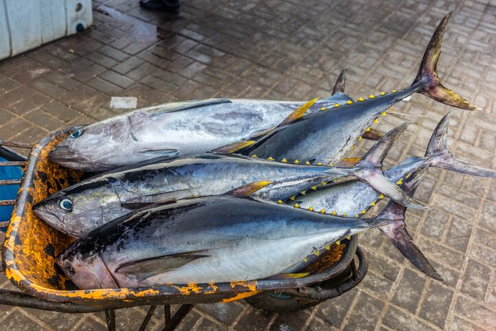 Delivering domestically: Oman most self-sufficient in food production among GCC countries