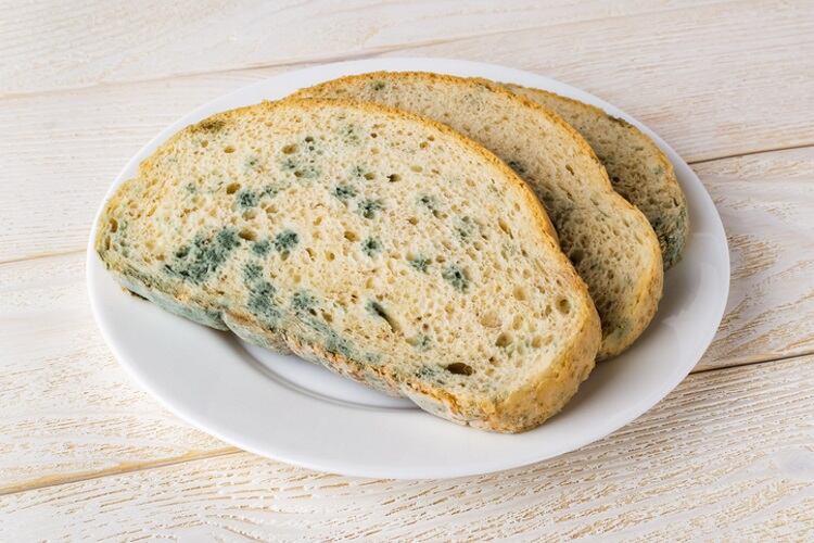 Stale-bread-with-mold-Veni-vidi-shoot.jpg