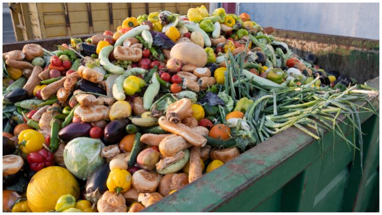 What do kids make of supermarket progress in addressing food waste?